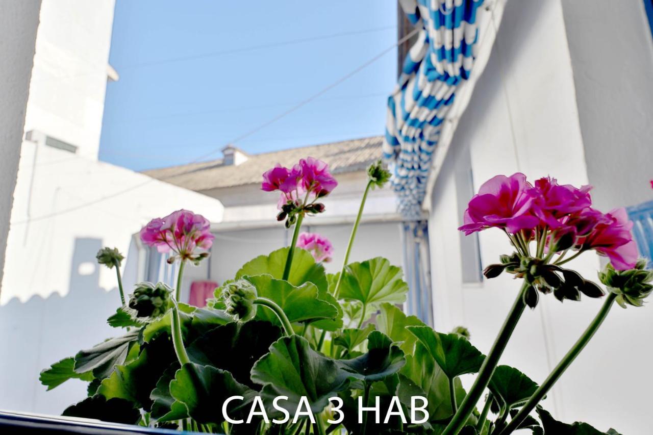 Apartment Casas Caballerizas Mezquita 1 Y 3 Hab *
